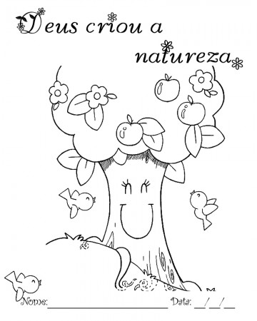 Deus criou a natureza